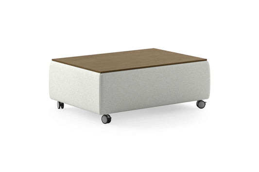 Functional Coffee Table Rene 01