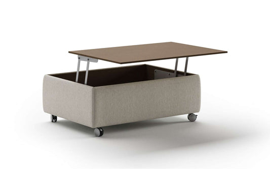 Functional Coffee Table Fun 496